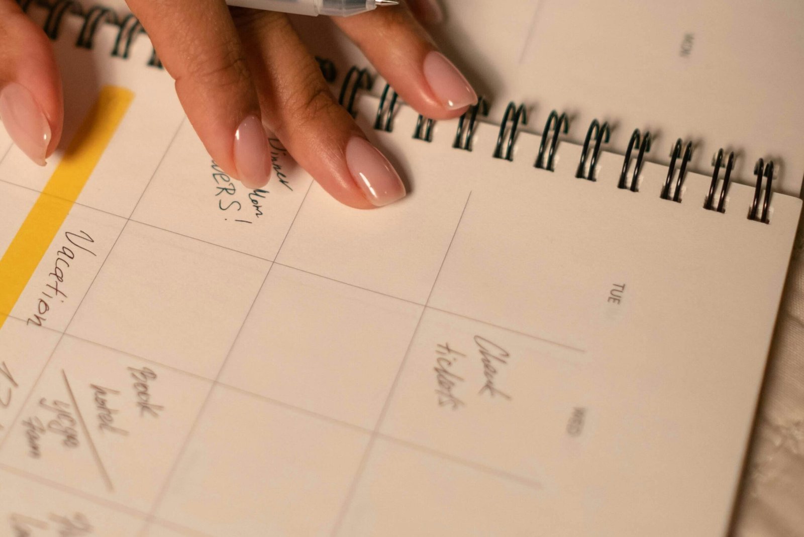 Más llamadas para tu veterinaria sin publicidad en Chile: cómo llenar tu agenda sin gastar un peso en anuncios