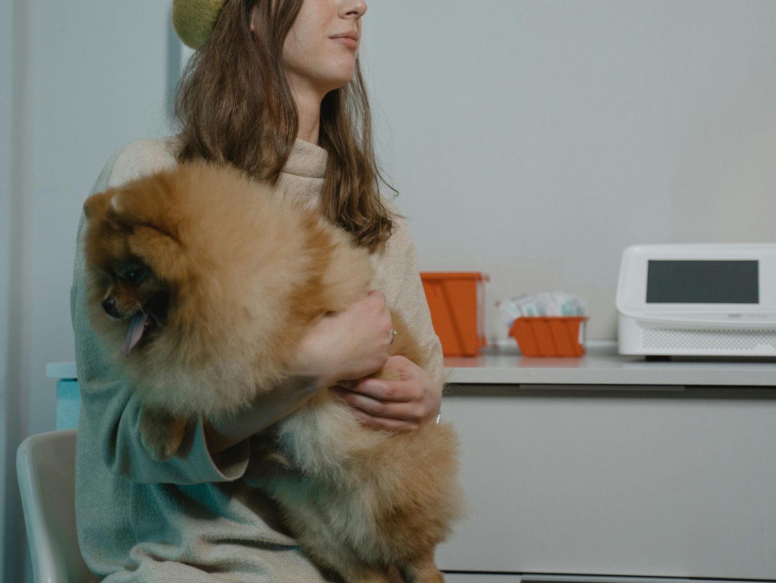 Veterinaria 24 horas en Santiago — Las que nunca cierran